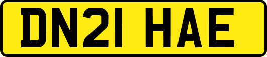 DN21HAE