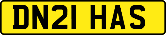 DN21HAS