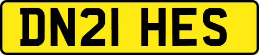 DN21HES