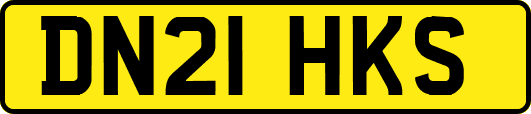 DN21HKS