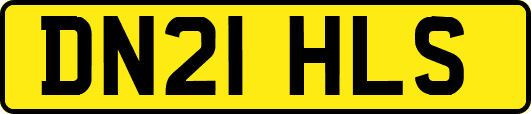 DN21HLS