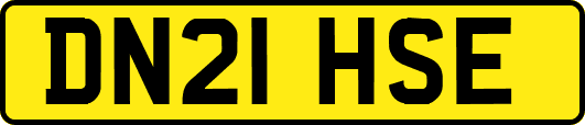 DN21HSE