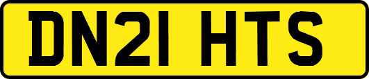 DN21HTS
