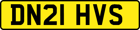 DN21HVS