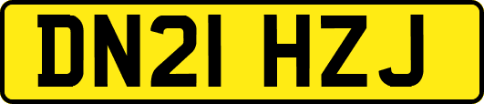 DN21HZJ