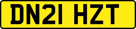 DN21HZT