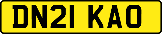 DN21KAO