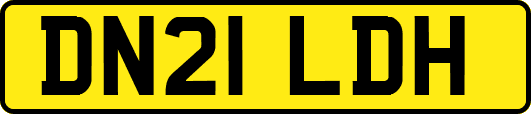 DN21LDH