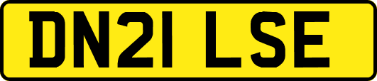DN21LSE