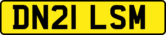 DN21LSM