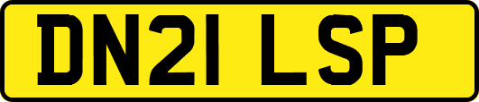DN21LSP