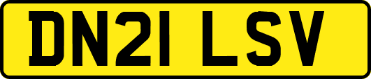 DN21LSV