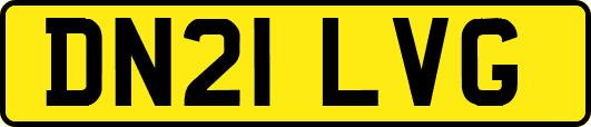 DN21LVG