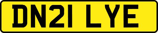 DN21LYE