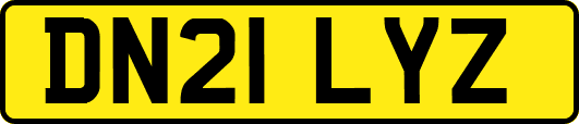 DN21LYZ