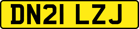 DN21LZJ