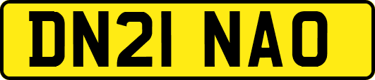 DN21NAO