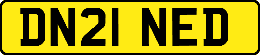 DN21NED