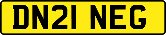 DN21NEG