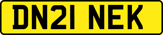 DN21NEK