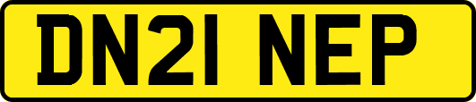 DN21NEP