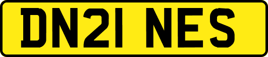 DN21NES