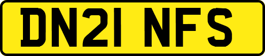 DN21NFS