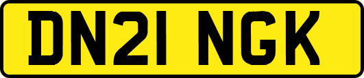 DN21NGK