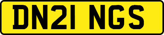 DN21NGS