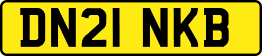 DN21NKB
