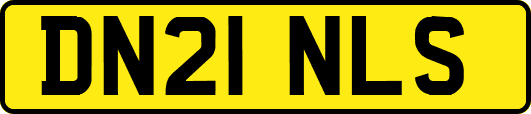 DN21NLS