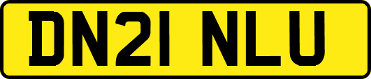 DN21NLU