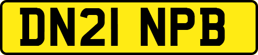 DN21NPB