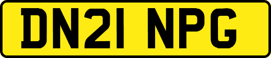DN21NPG