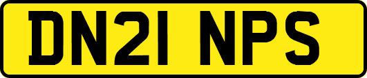 DN21NPS