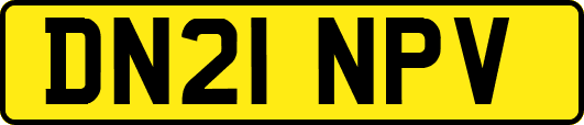 DN21NPV