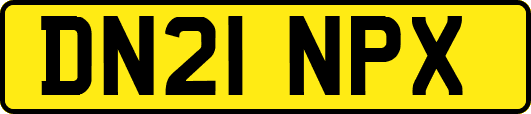 DN21NPX