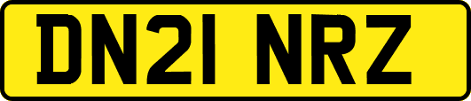 DN21NRZ