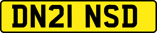 DN21NSD