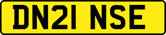 DN21NSE