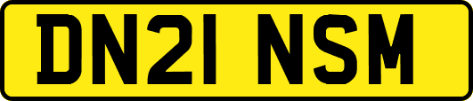 DN21NSM