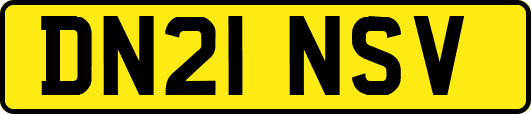 DN21NSV