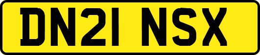 DN21NSX