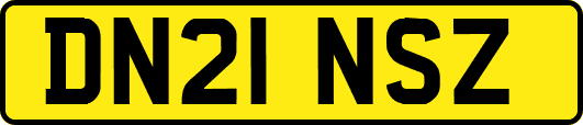 DN21NSZ
