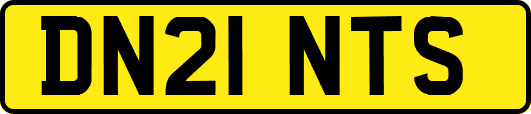 DN21NTS