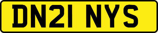 DN21NYS