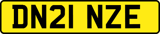 DN21NZE