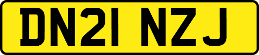 DN21NZJ