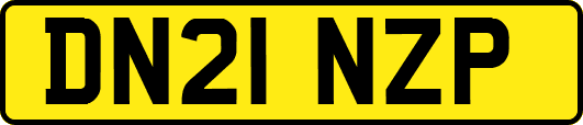 DN21NZP