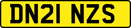 DN21NZS